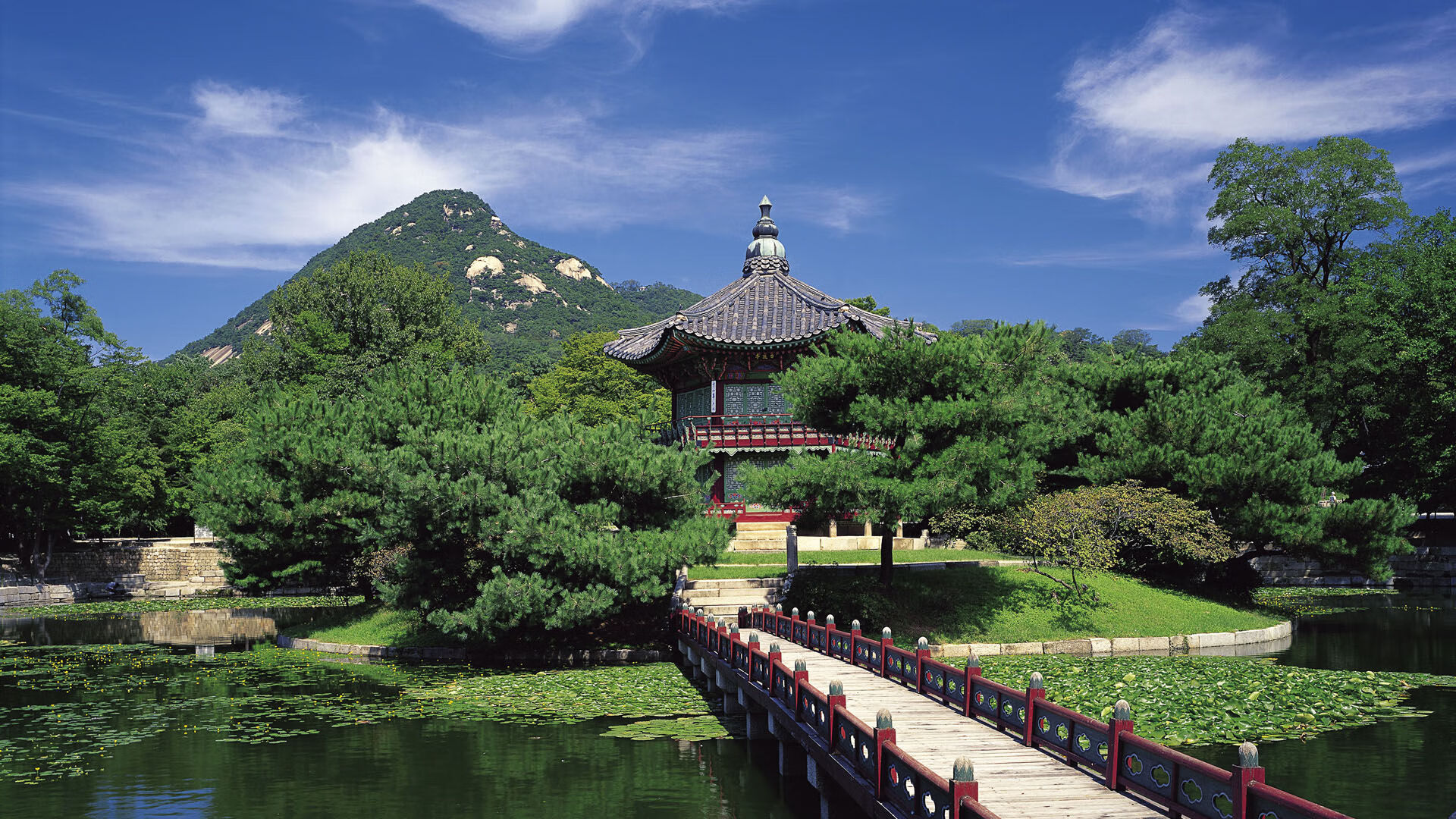 中美澳德蝶泳节奏变化趋势同步对比，蝶泳奥运会比赛视频