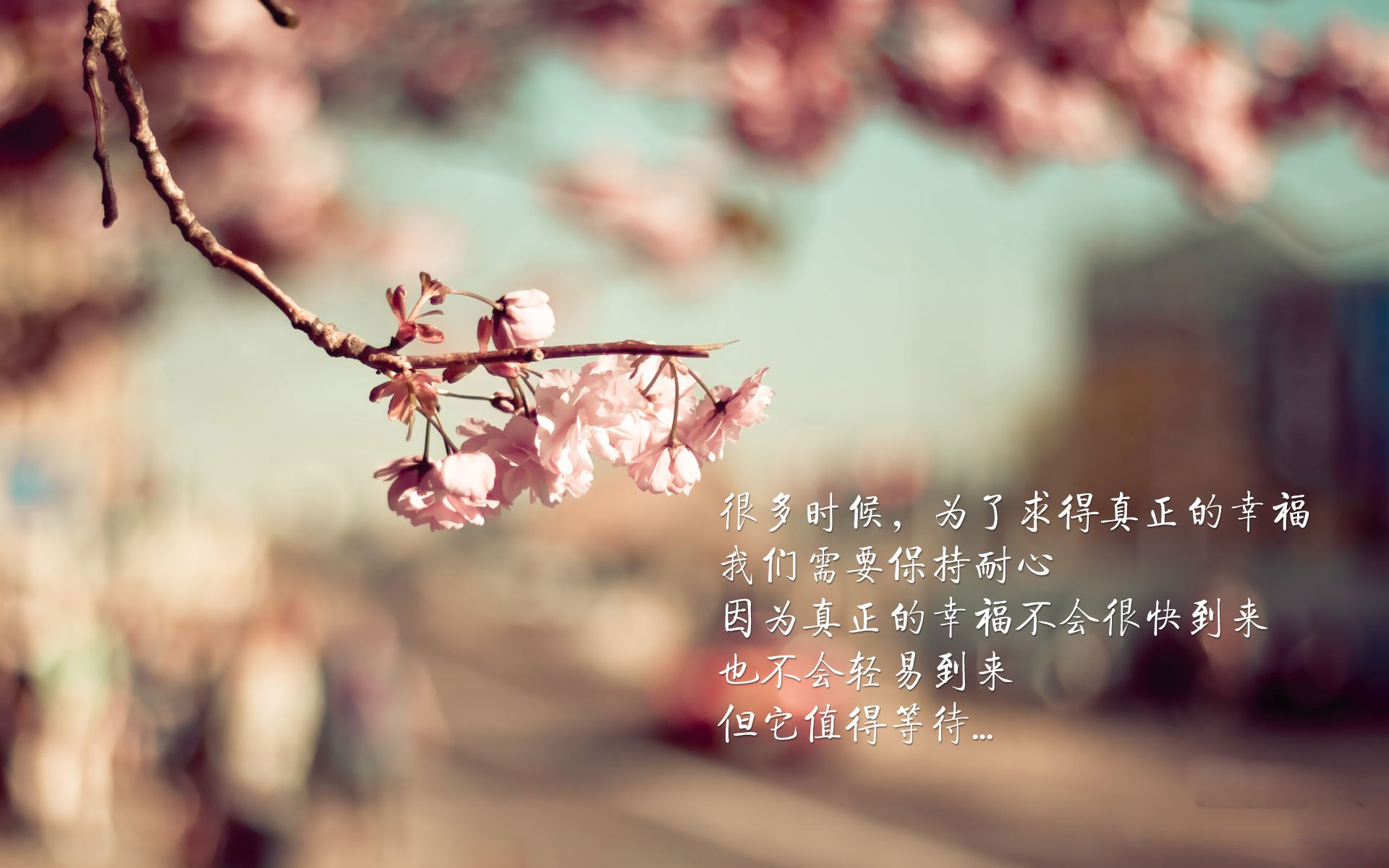 国家队战术执行为何频繁出现失误,国家队战术执行为何频繁出现失误现象